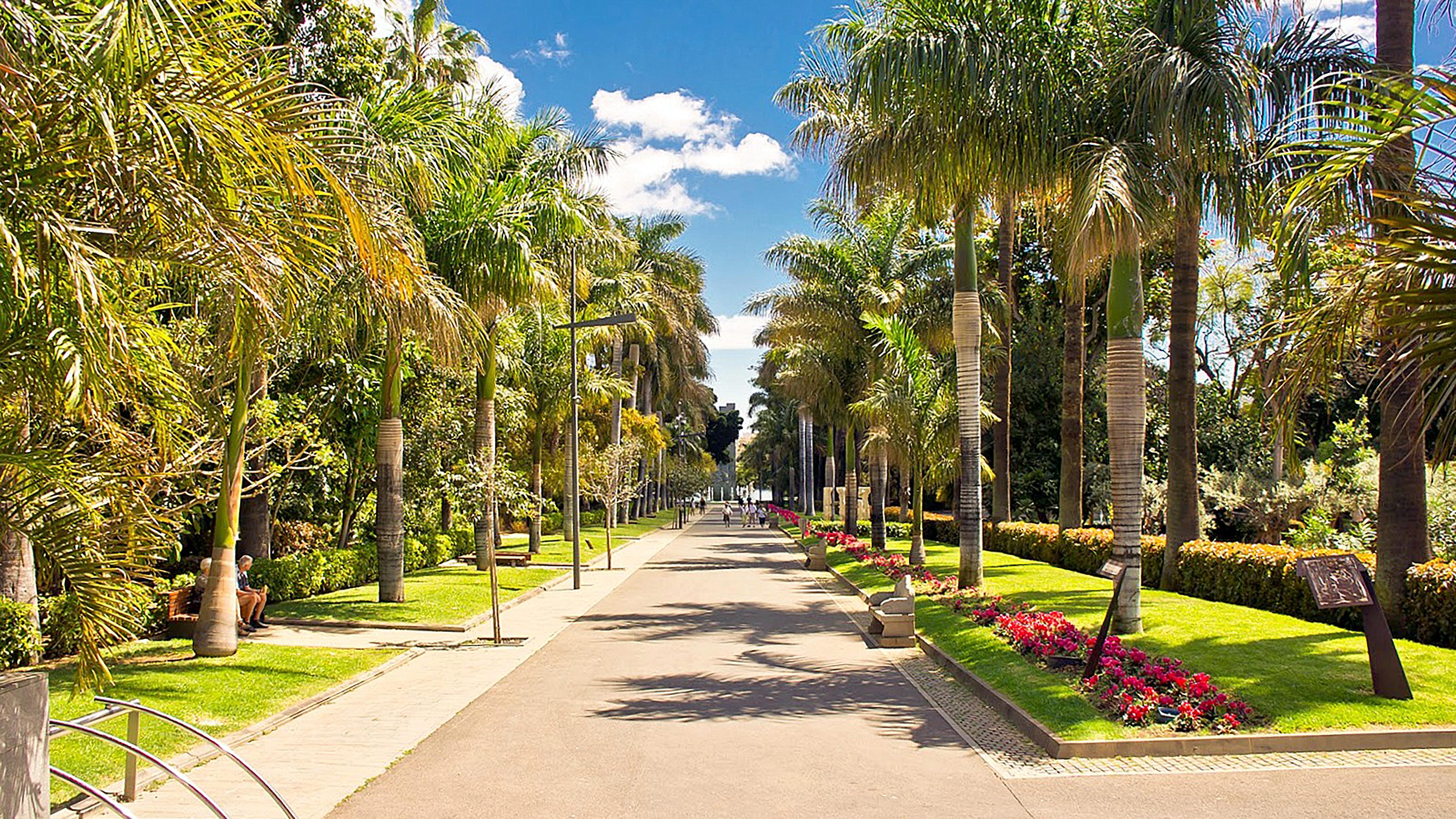 Adonis Capital Hotel Santa-Cruz de Ténérife
